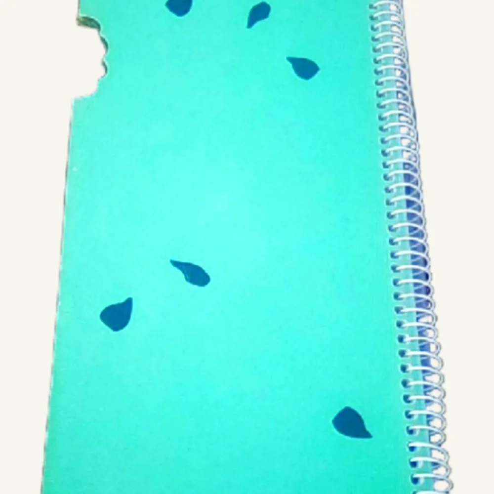Great American Summertime Fun Cookbook Spiral Bound Watermelon Shape 1995 Retro